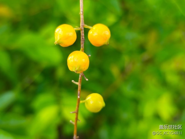 【被遺忘的角落】轉(zhuǎn)角色彩