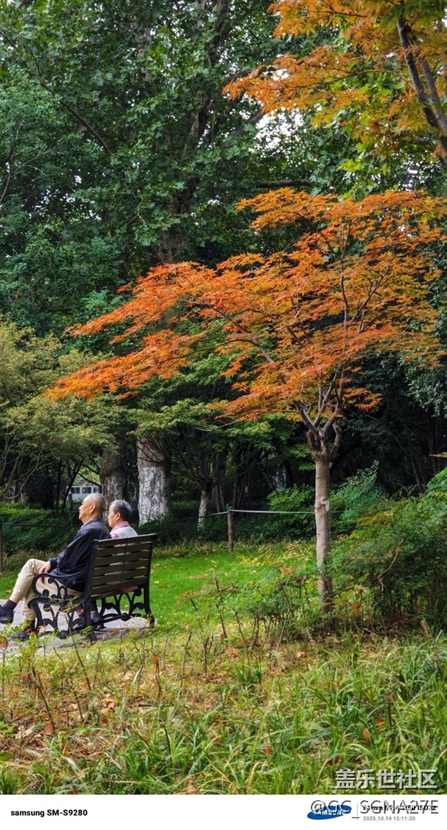 8.0不給S24系列相機(jī)下放水印，自己解決更高級