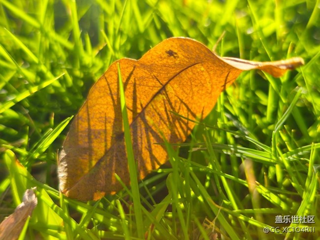 【被遺忘的角落】轉(zhuǎn)角色彩
