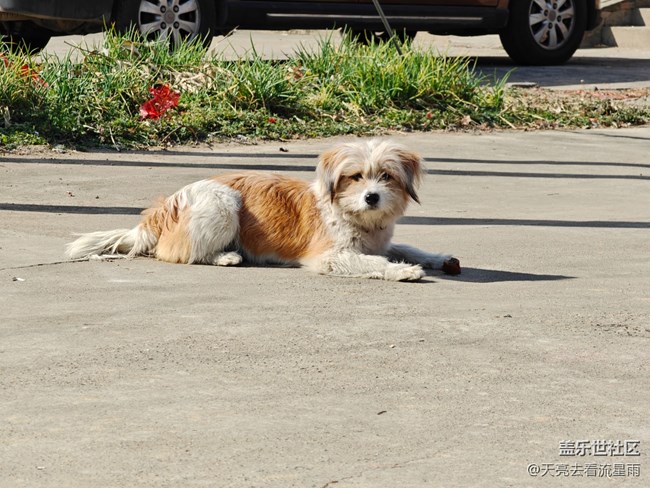 【生活微光】回鄉(xiāng)隨拍