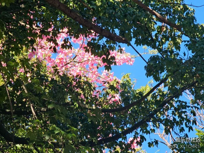 【被遺忘的角落】轉(zhuǎn)角色彩