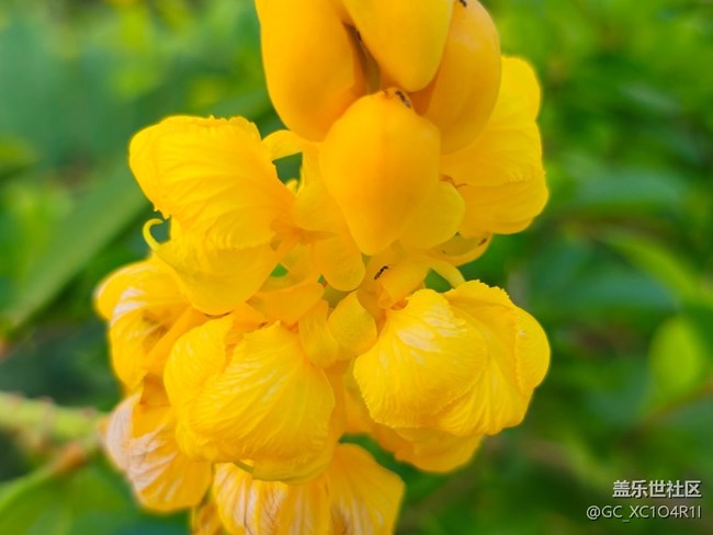 【被遺忘的角落】轉(zhuǎn)角色彩