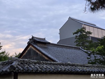 【小團(tuán)圓】+發(fā)現(xiàn)不凡