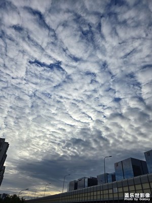 【秋日麗影】+陰天晴天