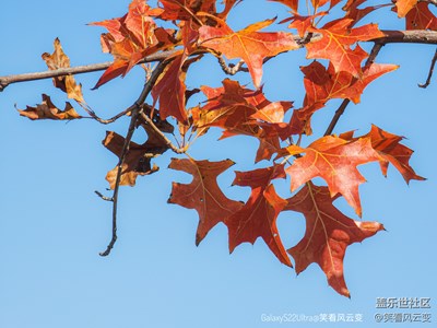 已開獎(jiǎng)【攝影版塊十月第三周】秋日麗影