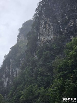 神農(nóng)架紅坪鎮(zhèn)