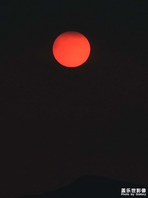 【秋日麗影】廣東鮮花綻放