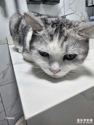 【秋日麗影】+好看