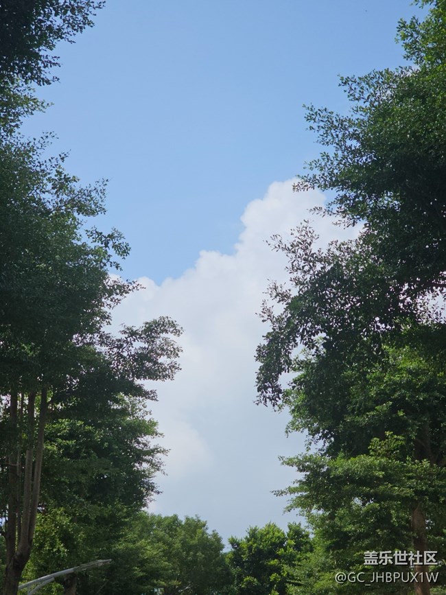 【我與蓋樂世社區(qū)】豐富生活