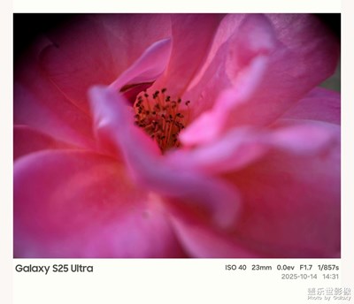 【秋日麗影】秋之魅