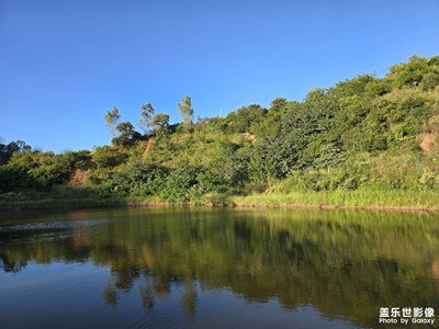 【秋日麗影】一日