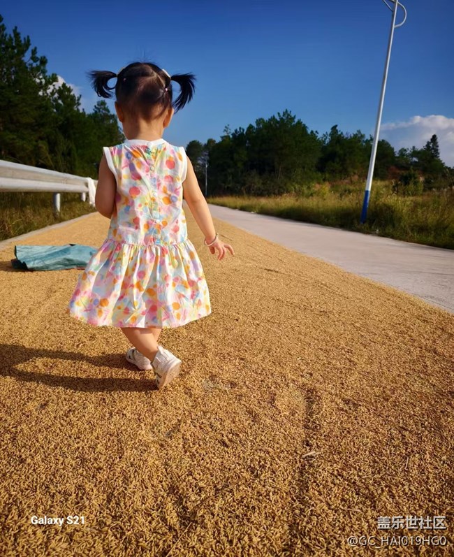 【拾秋鏡畫】豐收的季節(jié)