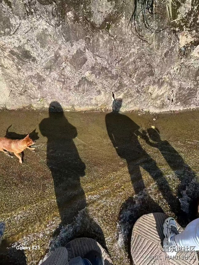 【拾秋鏡畫】豐收的季節(jié)