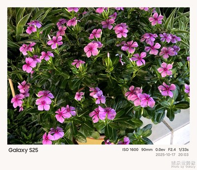 《夜生活》—用鏡頭框住塞博夜景