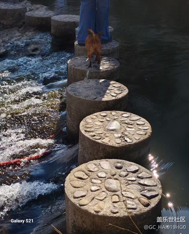 【拾秋鏡畫】豐收的季節(jié)