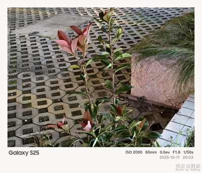 《我的視界》—我眼“框”里的世界