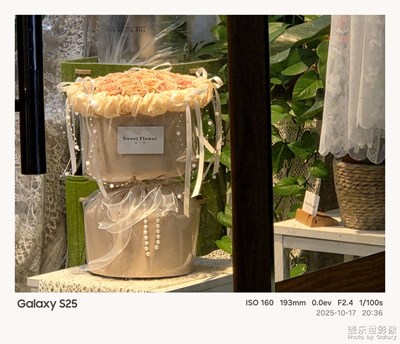 《我的視界》—我眼“框”里的世界