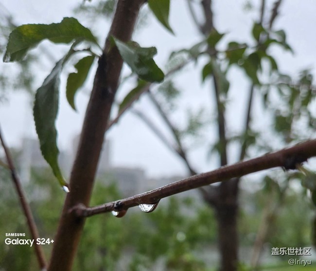 【拾秋鏡畫】秋意印象