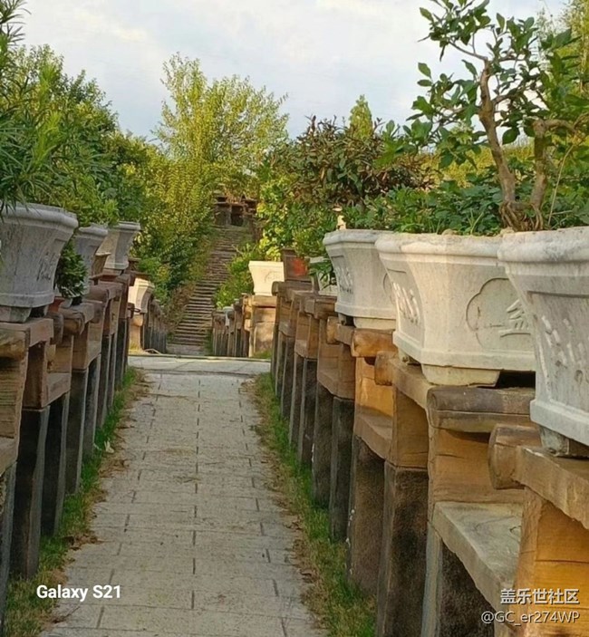 【拾秋鏡畫】秋日