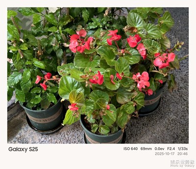 《我的視界》—我眼“框”里的世界