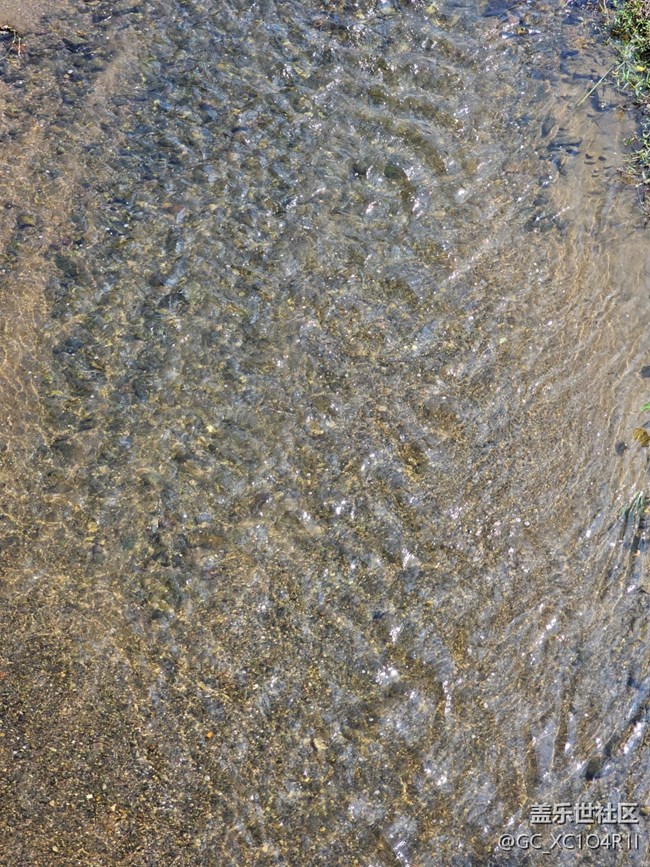 【旅途中的精彩時刻】瞬間精彩