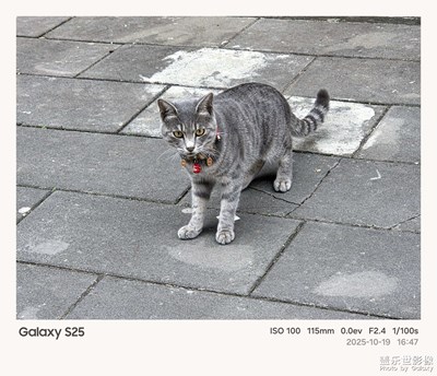 《故事》—用相框記錄的故事