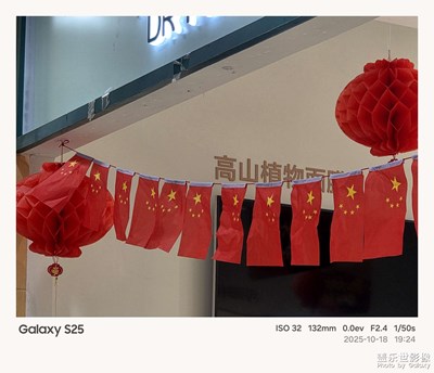 《節(jié)日盛景》—鏡框下的節(jié)假日