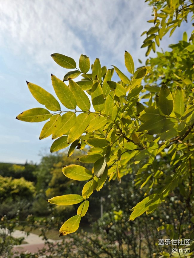 【秋影拾光】秋日掠影