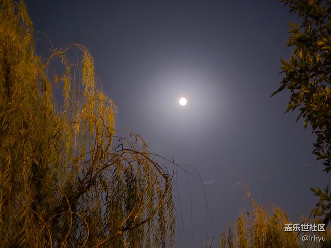 【秋夜星空】月光下的秋