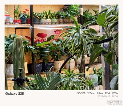 《光影色彩》—日常中的光影色彩