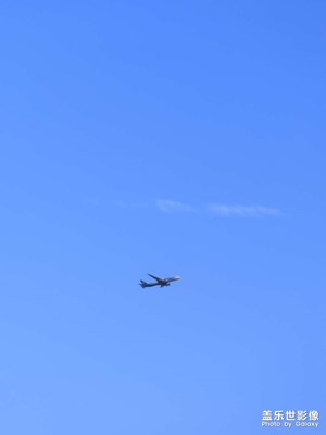 【秋日麗影】+城市一角