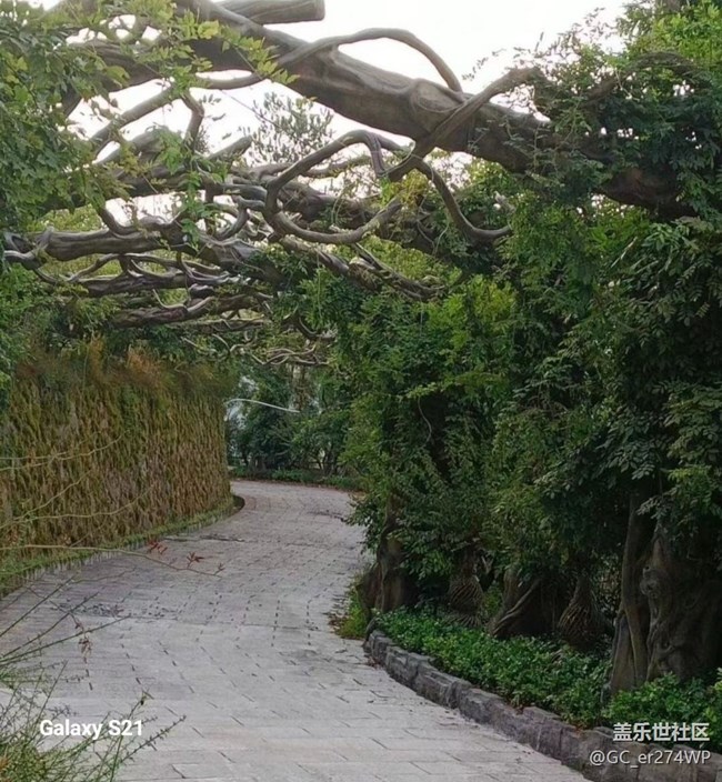 【拾秋鏡畫】秋日