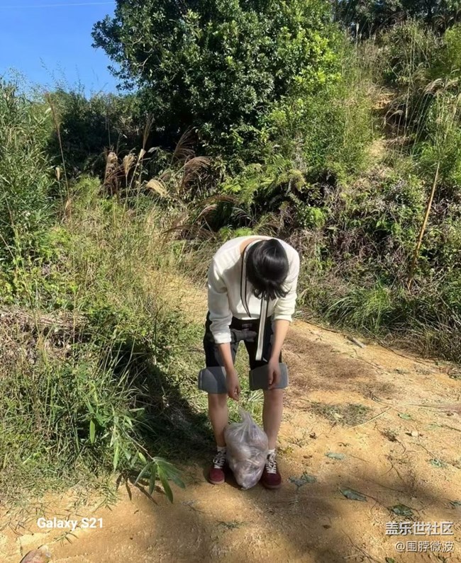 【拾秋鏡畫】秋實