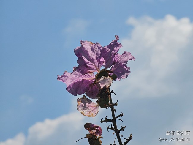 【旅途中的精彩時刻】瞬間精彩