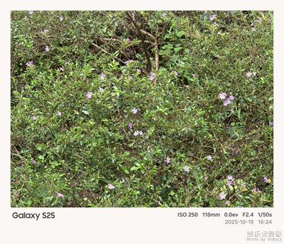 《故事》—用相框記錄的故事