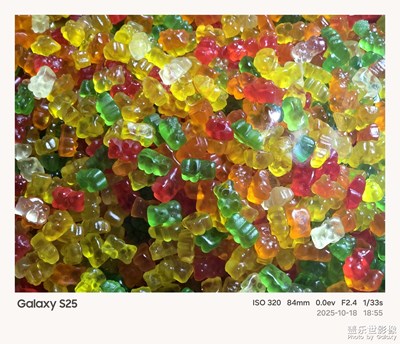 《我的視界》—我眼“框”里的世界