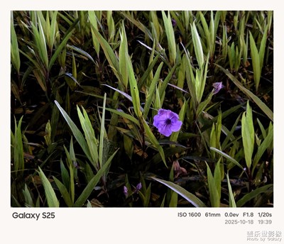 《我的視界》—我眼“框”里的世界