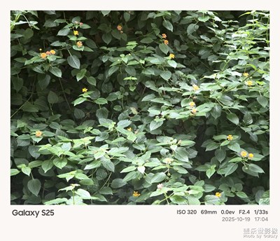 《故事》—用相框記錄的故事