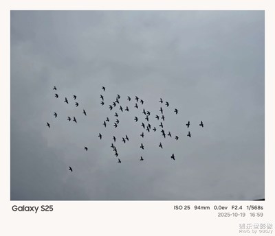 《我的視界》—我眼“框”里的世界