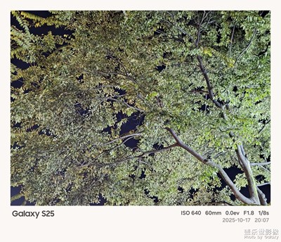 《夜生活》—用鏡頭框住塞博夜景