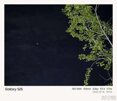 《夜生活》—用鏡頭框住塞博夜景