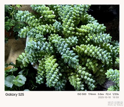 《夜生活》—用鏡頭框住塞博夜景