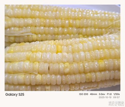 《節(jié)日盛景》—鏡框下的節(jié)假日