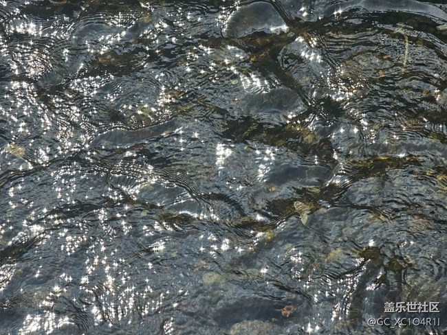 【旅途中的精彩時刻】瞬間精彩