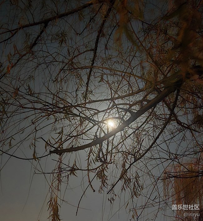 【秋夜星空】月光下的秋