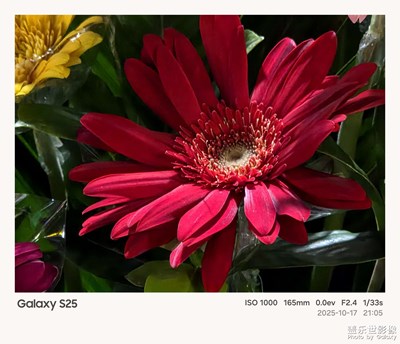 《節(jié)日盛景》—鏡框下的節(jié)假日