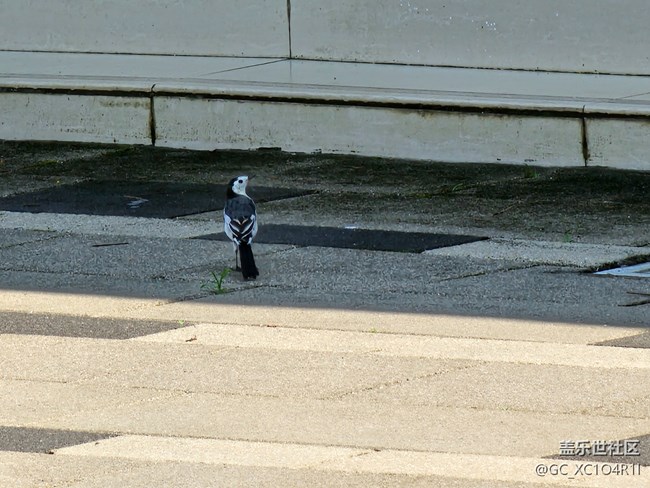 【旅途中的精彩時刻】瞬間精彩