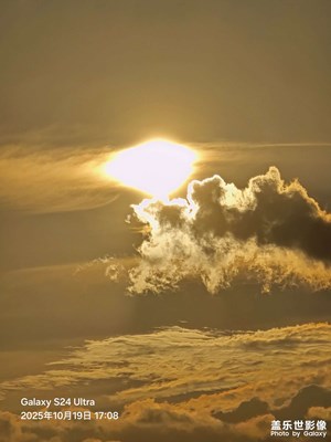 【秋日麗影】鎏金夕陽紅