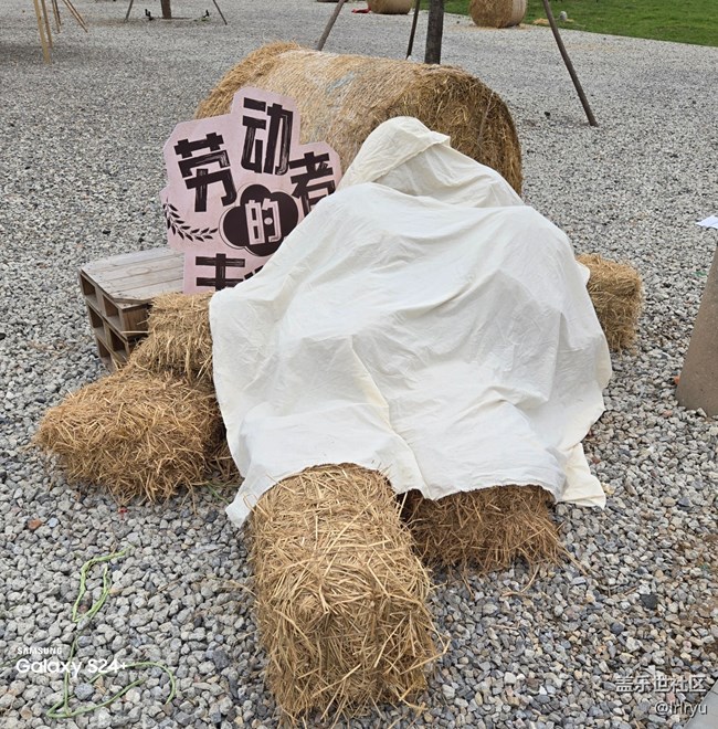 【拾秋鏡畫】秋意印象