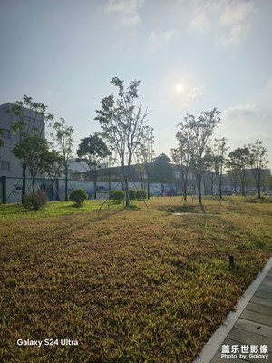 【秋日麗影】秋意漸濃